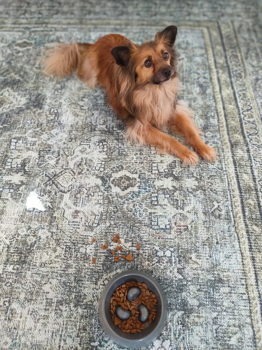 santi green and grey traditional distressed washable rug santi green and grey traditional distressed washable rug